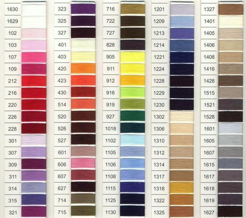 nici VIGA 120 ARIADNA 5000mb