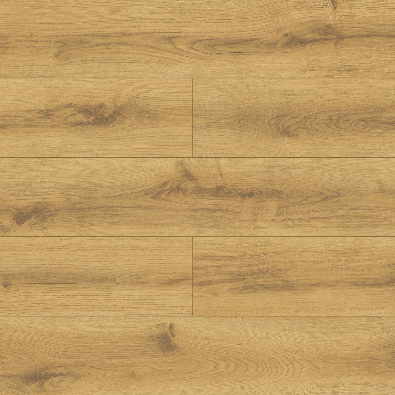 Swiss Krono Panele podłogowe Dąb Bergamo 8 mm AC5