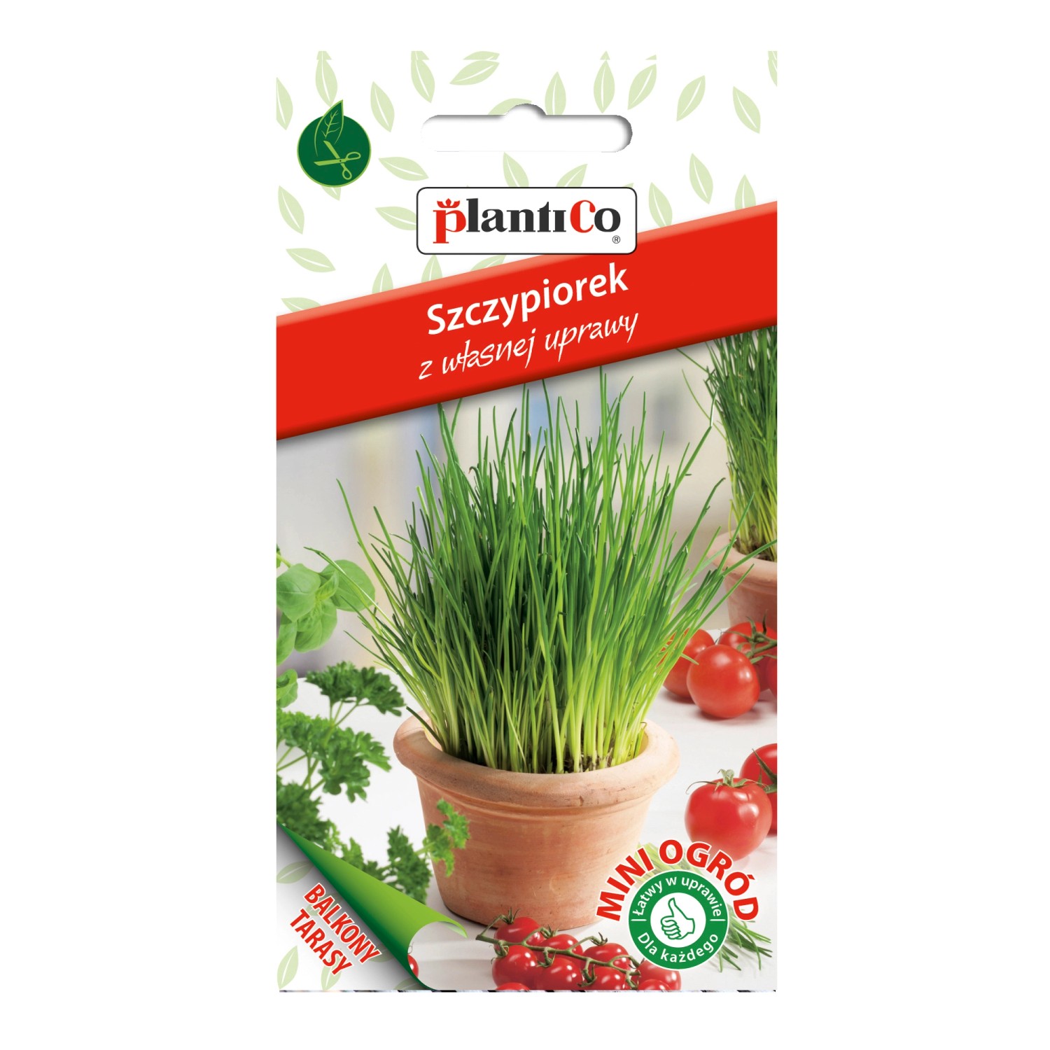Szczypiorek Mini Ogród