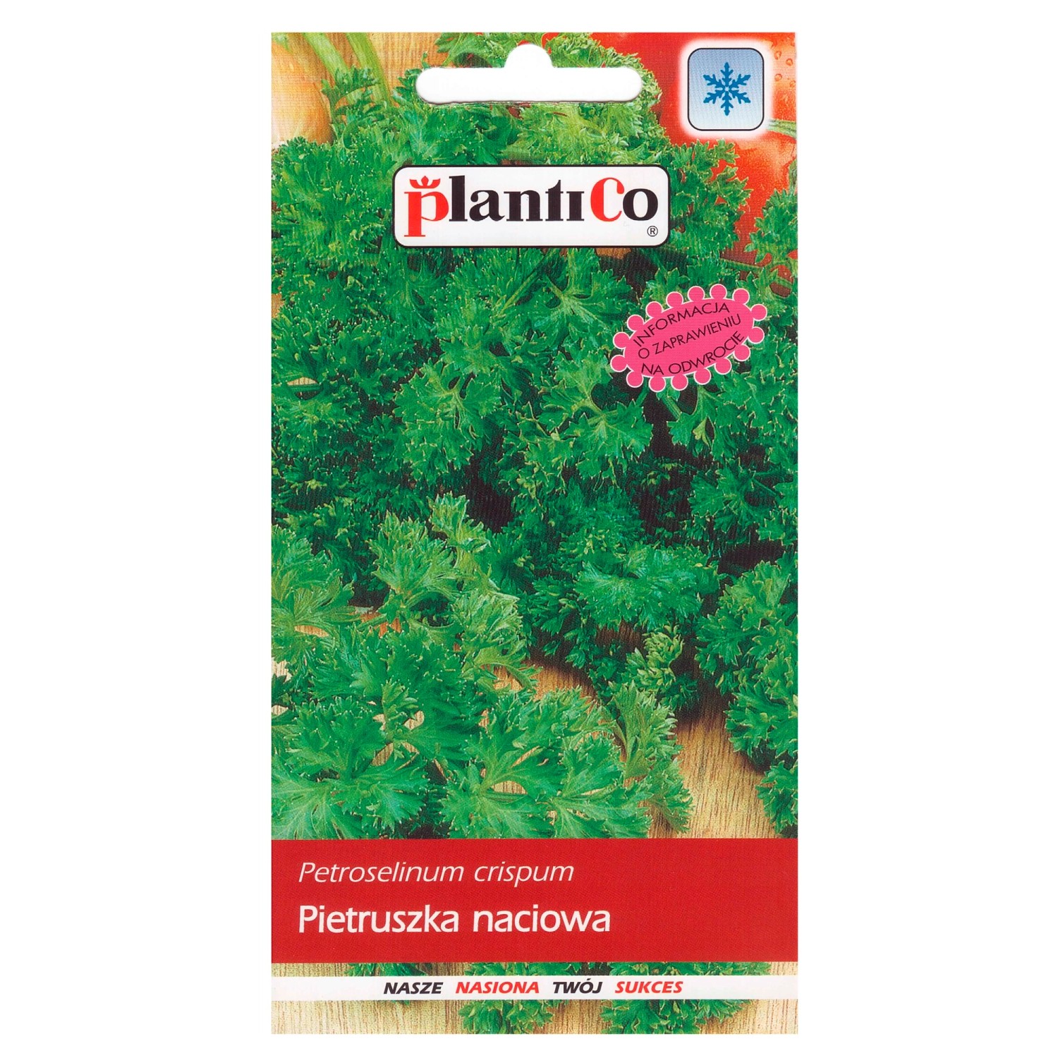 Pietruszka liściowa kędzierzawa