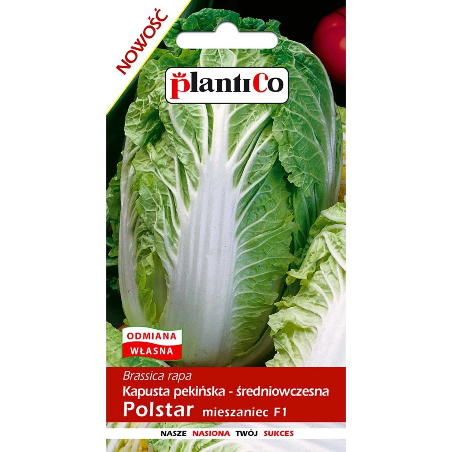 Kapusta pekińska nasiona- 0,5 g