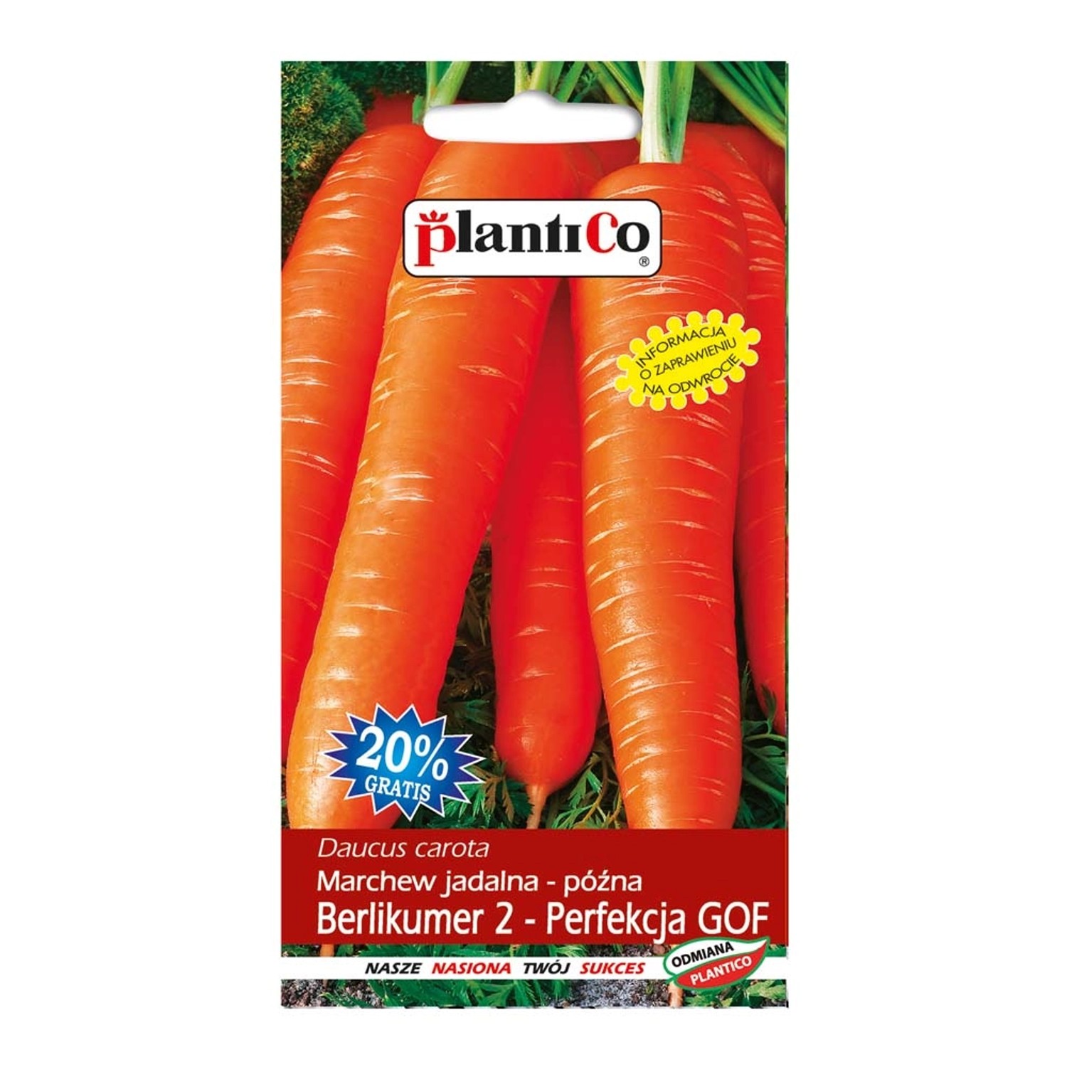 Marchew jadalna Berlikumer 2