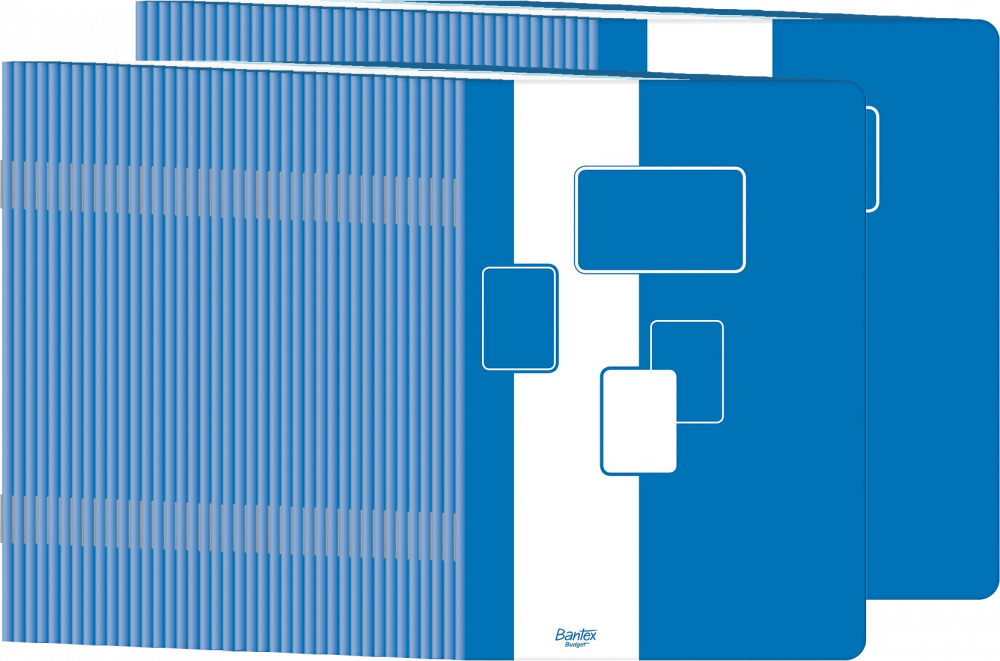 100x Zeszyt w kratkę Bantex Budget, A5, 32 kartki, biało-niebieski