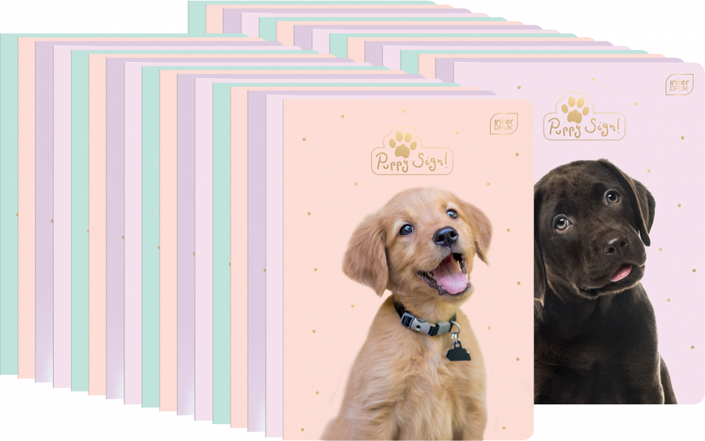 80x Zeszyt w kratkę Interdruk UV Puppy Sign, A5, 32 kartki, mix wzorów