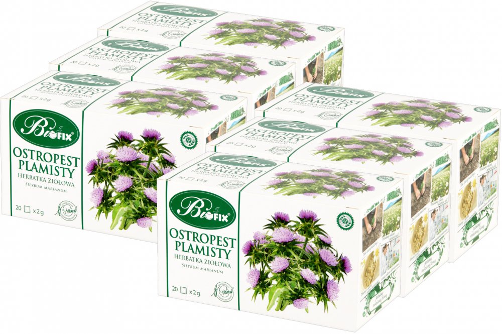 6x Herbata ziołowa w torebkach BiFix, ostropest plamisty, 20 sztuk x 2g