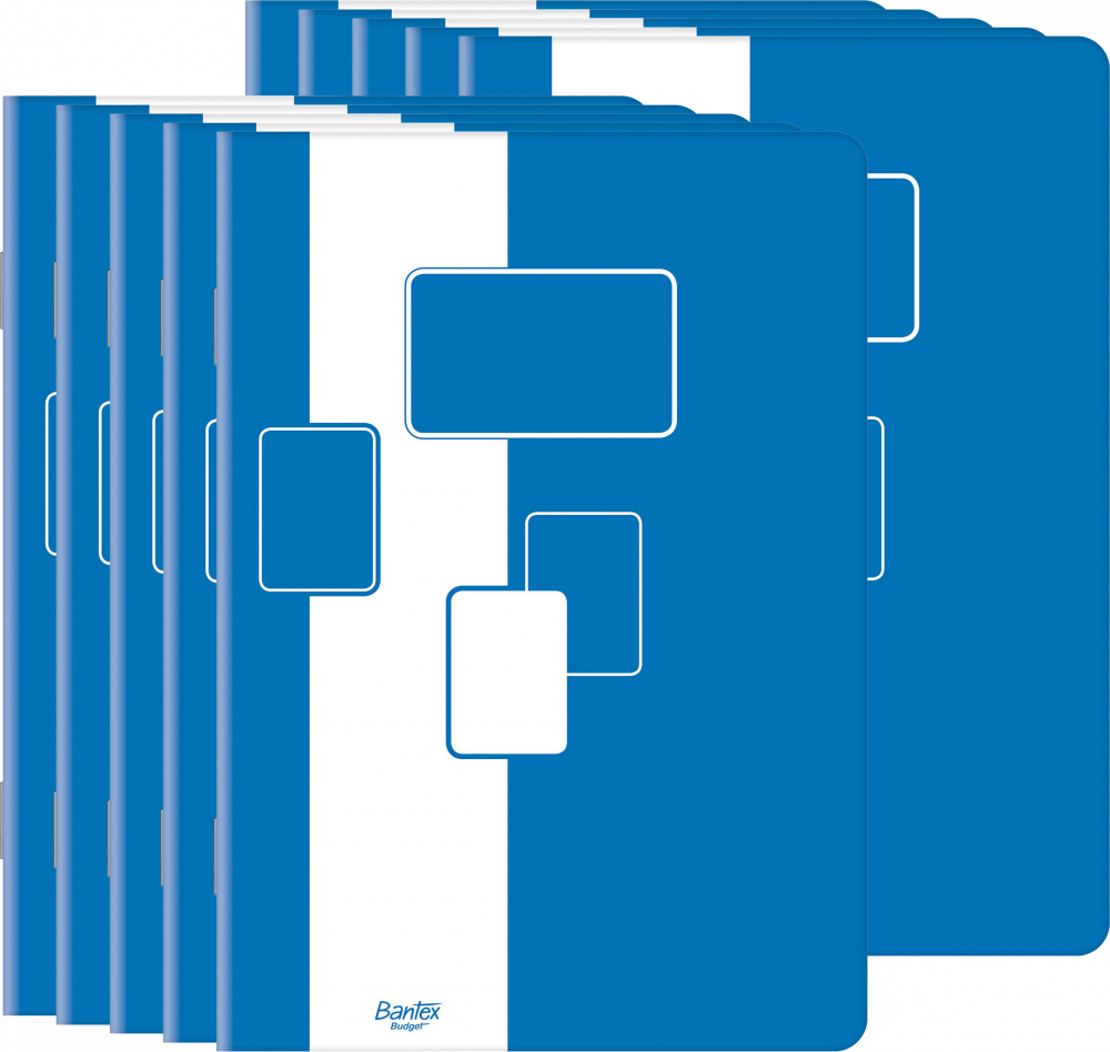 10x Zeszyt w kratkę Bantex Budget, A5, 32 kartki, biało-niebieski