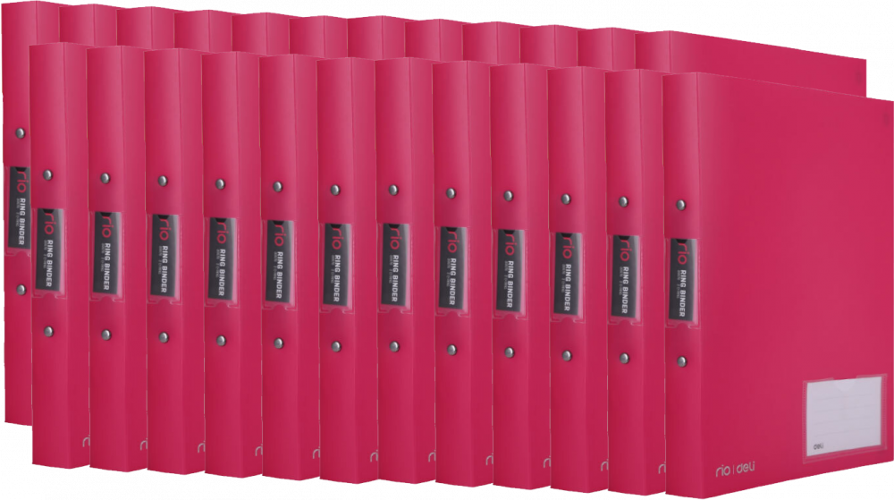 24x Segregator A4 Deli Rio, PP, 2 ringi, z kieszenią, różowy