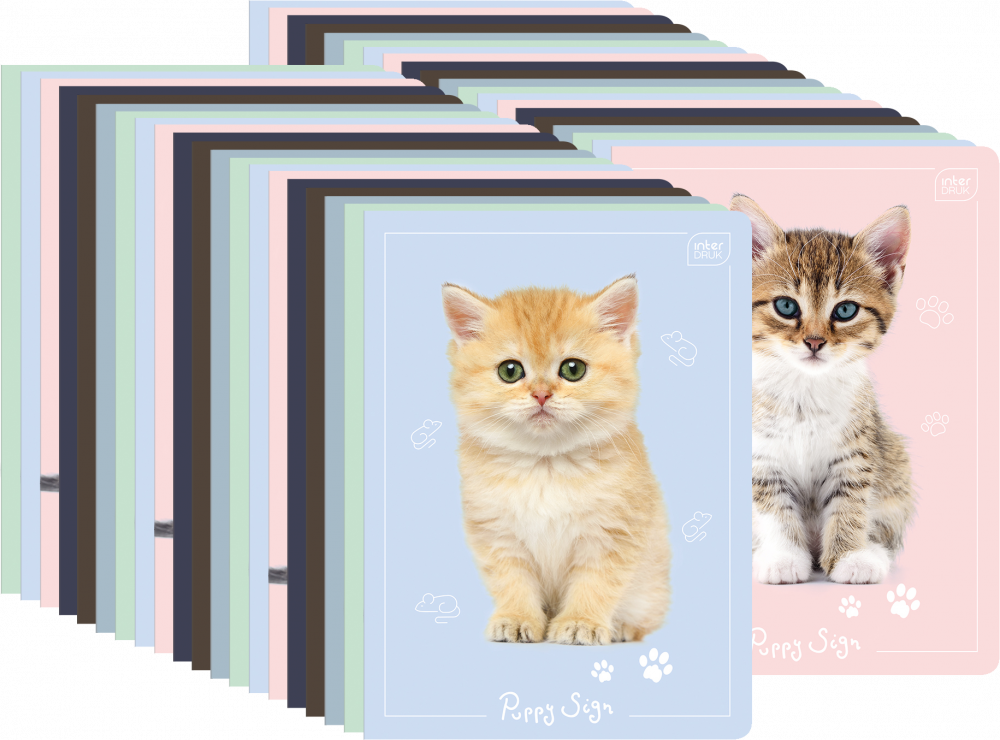 40x Zeszyt w wąskie kolorowe linie Interdruk UV Puppy Sign, A5, 16 kartek, mix wzorów