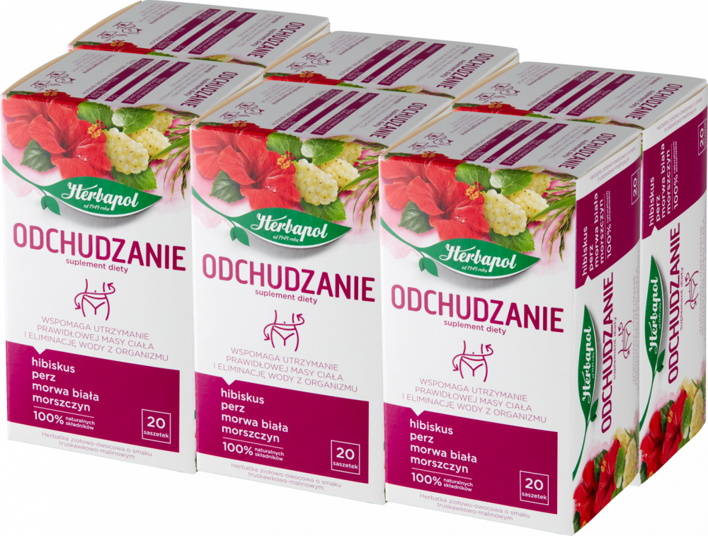 6x Herbata funkcjonalna w torebkach Herbapol Odchudzanie, truskawkowo-malinowy, 20 sztuk x 2g