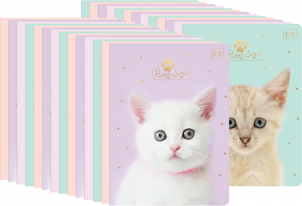 40x Zeszyt w kratkę Interdruk UV Puppy Sign, A5, 32 kartki, mix wzorów