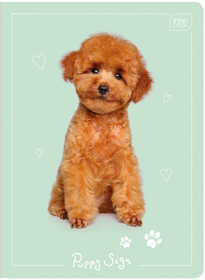 Zeszyt w wąskie kolorowe linie Interdruk UV Puppy Sign, A5, 16 kartek, mix wzorów