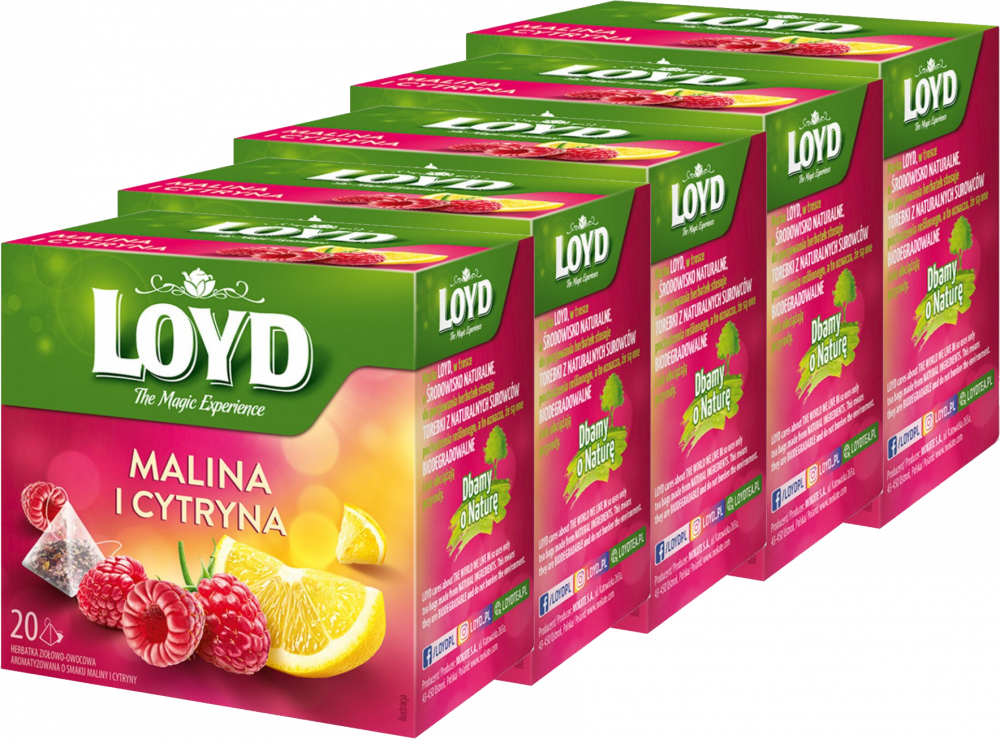 5x Herbata owocowa w piramidkach Loyd, malina i cytryna, 20 sztuk x 2g