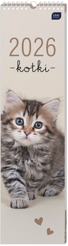 Kalendarz ścienny 2026, Interdruk, paskowy, 13.5x50cm, miesięczny, Koty