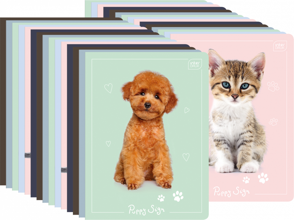 30x Zeszyt w wąskie kolorowe linie Interdruk UV Puppy Sign, A5, 16 kartek, mix wzorów
