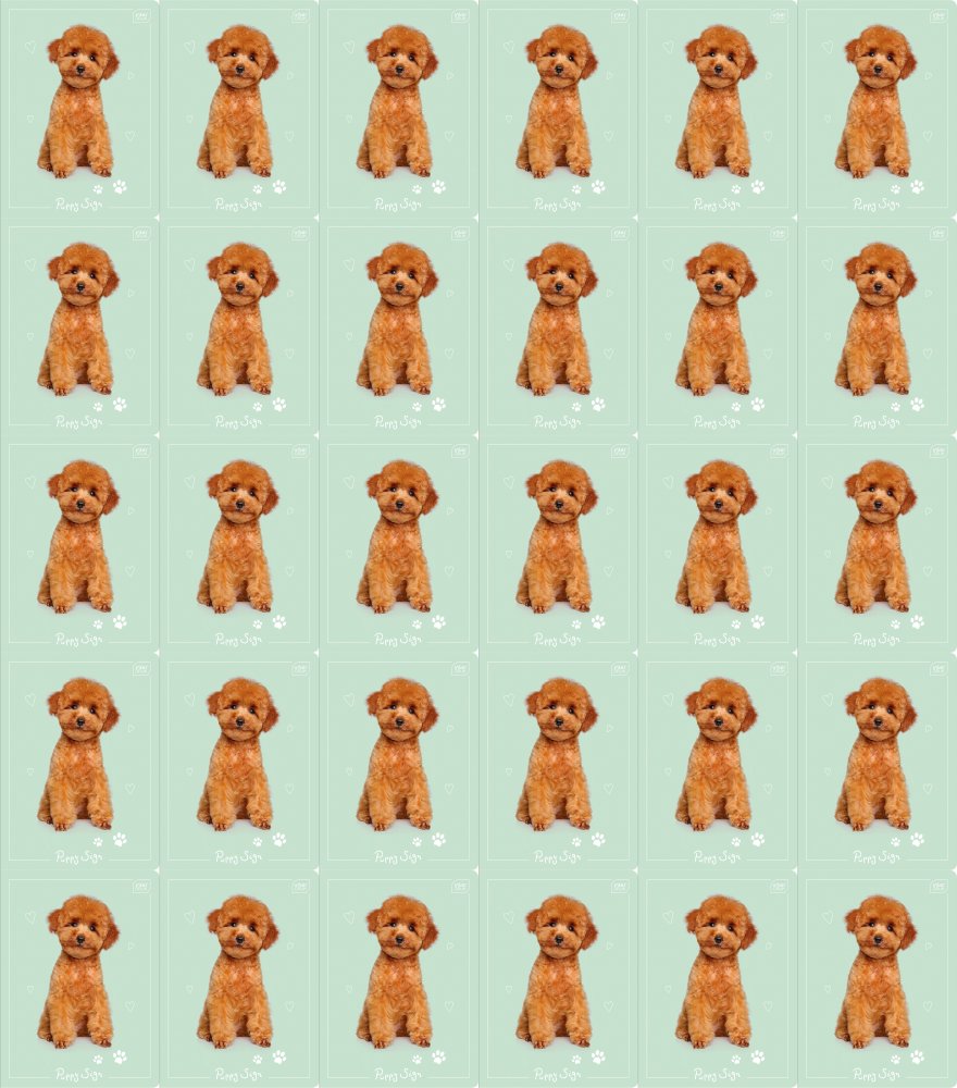 640x Zeszyt w wąskie kolorowe linie Interdruk UV Puppy Sign, A5, 16 kartek, mix wzorów