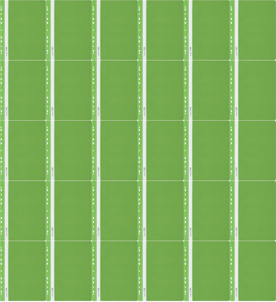 30x Skoroszyt plastikowy oczkowy Biurfol, twardy, A4, do 200 kartek, jasnozielony