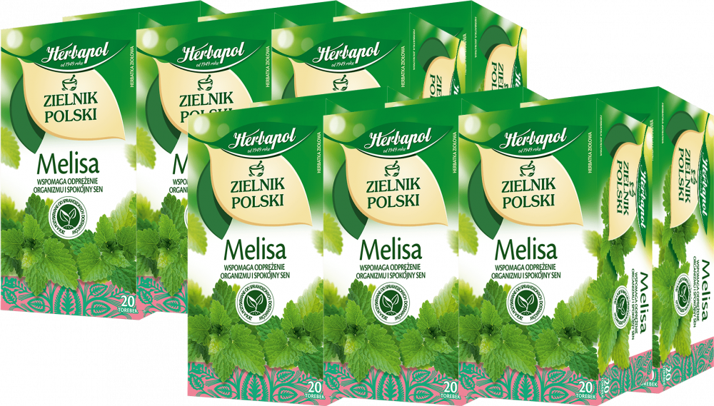 12x Herbata ziołowa w torebkach Herbapol Zielnik Polski, melisa, 20 sztuk x 2g