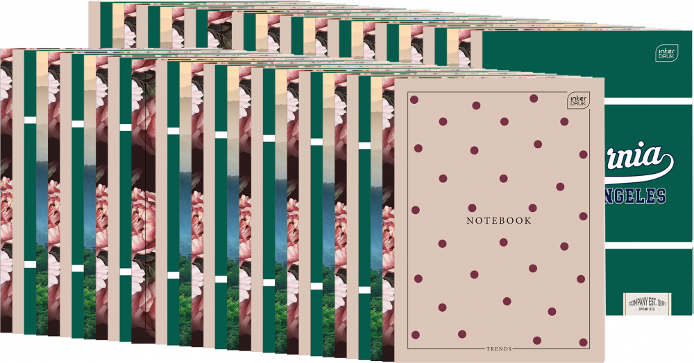 60x Zeszyt do słówek w kratkę Interdruk, A6, 32 kartki, mix wzorów