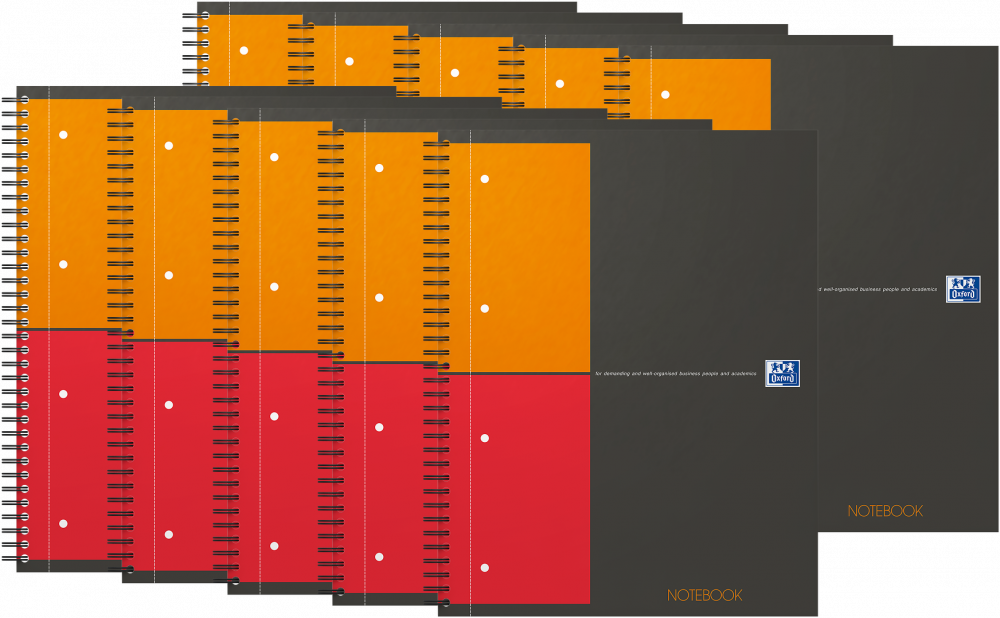 10x Kołonotatnik Oxford International Notebook, A4+, w kratkę, 80 kartek, okładka kartonowa, szary