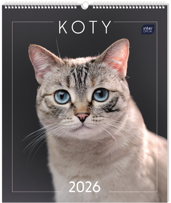 Kalendarz ścienny 2026, Interdruk, planszowy, 33.5x40cm, miesięczny, Koty