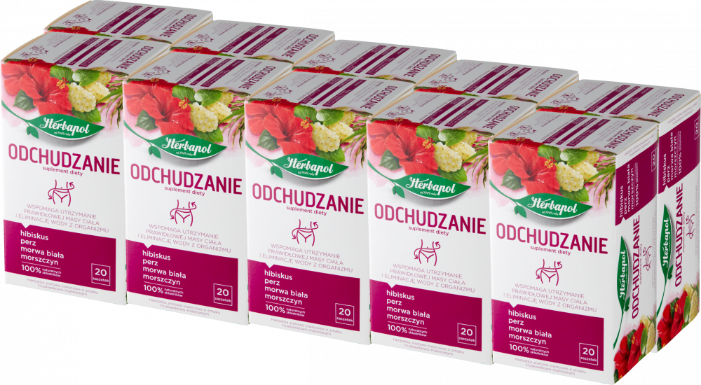 10x Herbata funkcjonalna w torebkach Herbapol Odchudzanie, truskawkowo-malinowy, 20 sztuk x 2g
