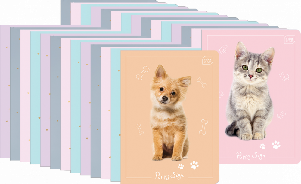 80x Zeszyt w kratkę Interdruk UV Puppy Sign, A5, 16 kartek, mix wzorów