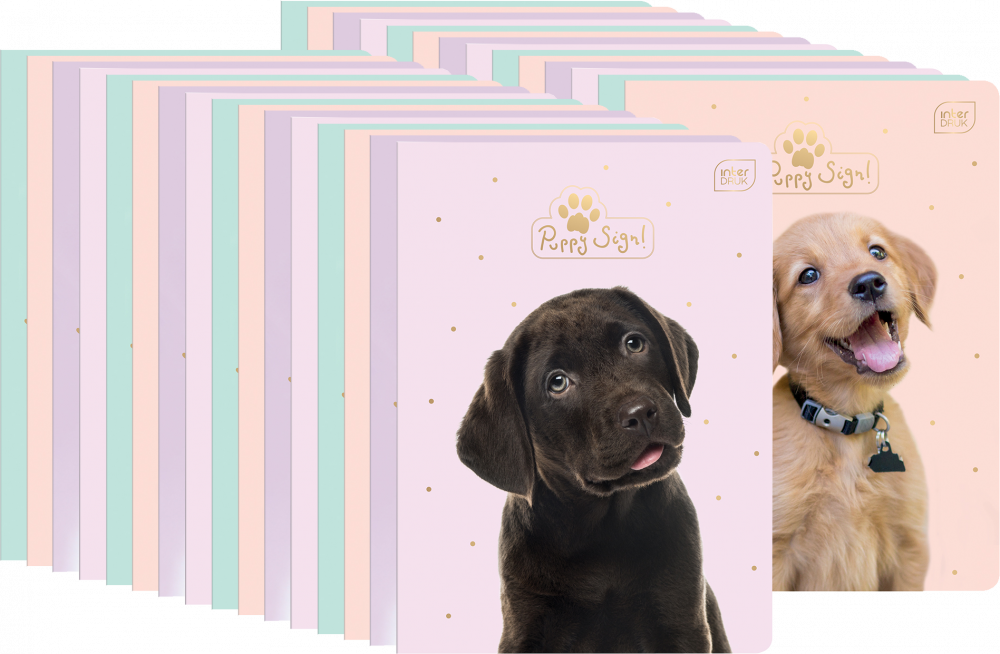 50x Zeszyt w kratkę Interdruk UV Puppy Sign, A5, 32 kartki, mix wzorów