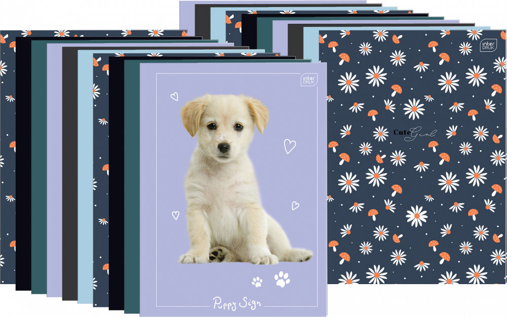 20x Zeszyt w kratkę Interdruk, A4, 32 kartki, mix wzorów