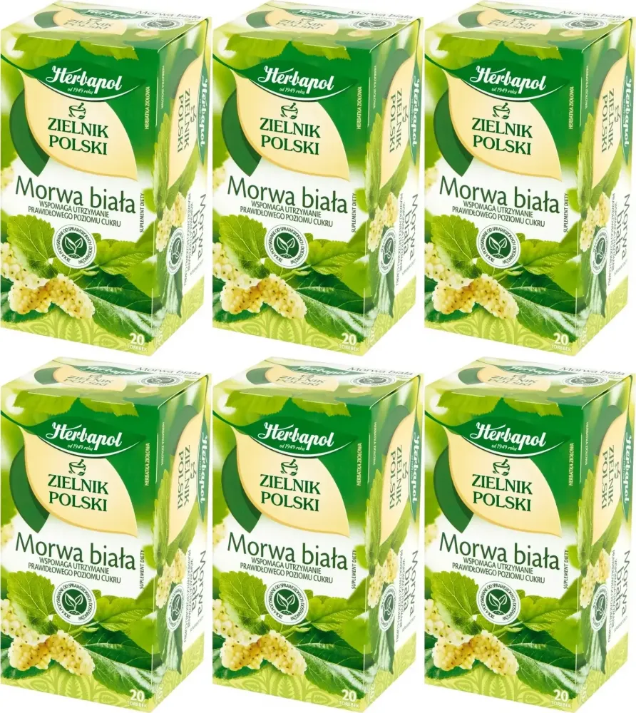6x Herbata ziolowa w torebkach Herbapol Zielnik polski, morwa biała, 20 sztuk x 2g