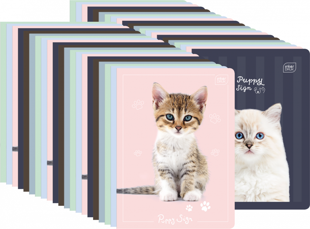 80x Zeszyt w wąskie kolorowe linie Interdruk UV Puppy Sign, A5, 16 kartek, mix wzorów