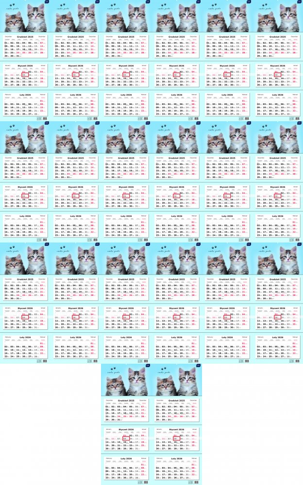 20x Kalendarz ścienny 2026, Interdruk, trójdzielny, 34x82.5cm, Koty