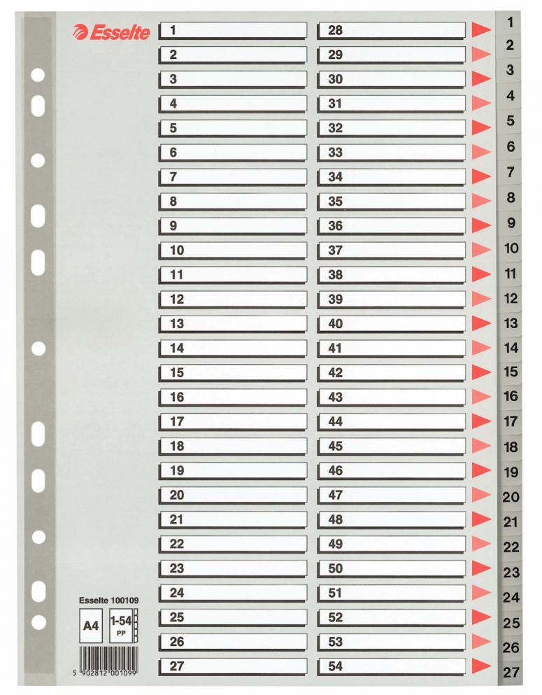 Przekładki do segregatora Esselte, plastikowe, numeryczne, A4, 1-54 kart, szary