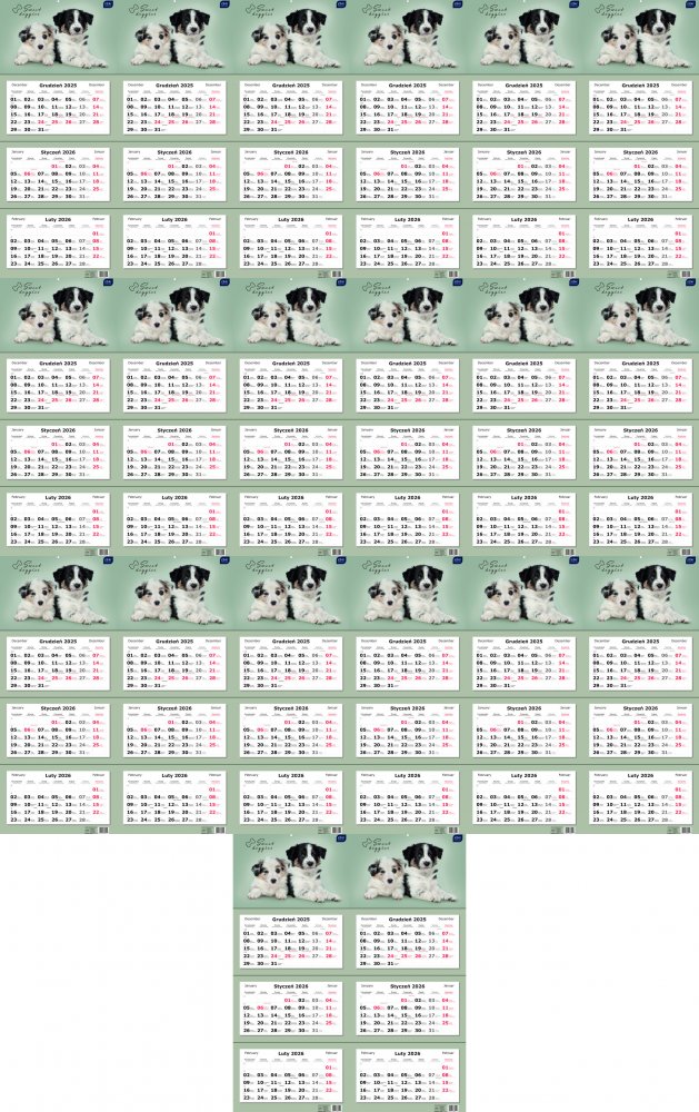 20x Kalendarz ścienny 2026, Interdruk, trójdzielny, 34x82.5cm, Psy