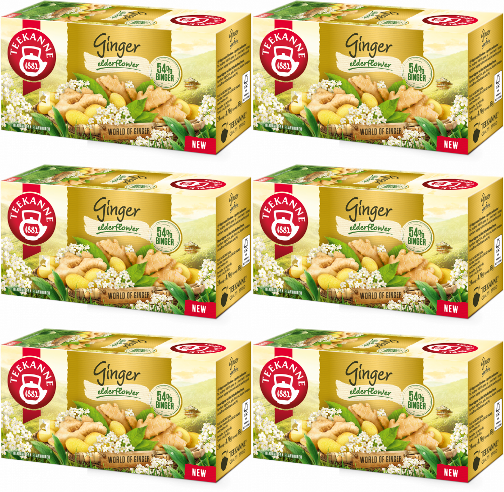6x Herbata owocowa w kopertach Teekanne Ginger Elderflower, imbir i kwiat bzu, 20 sztuk x 1.75g