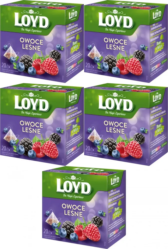 5x Herbata owocowa w piramidkach Loyd, owoce leśne, 20 sztuk x 2g