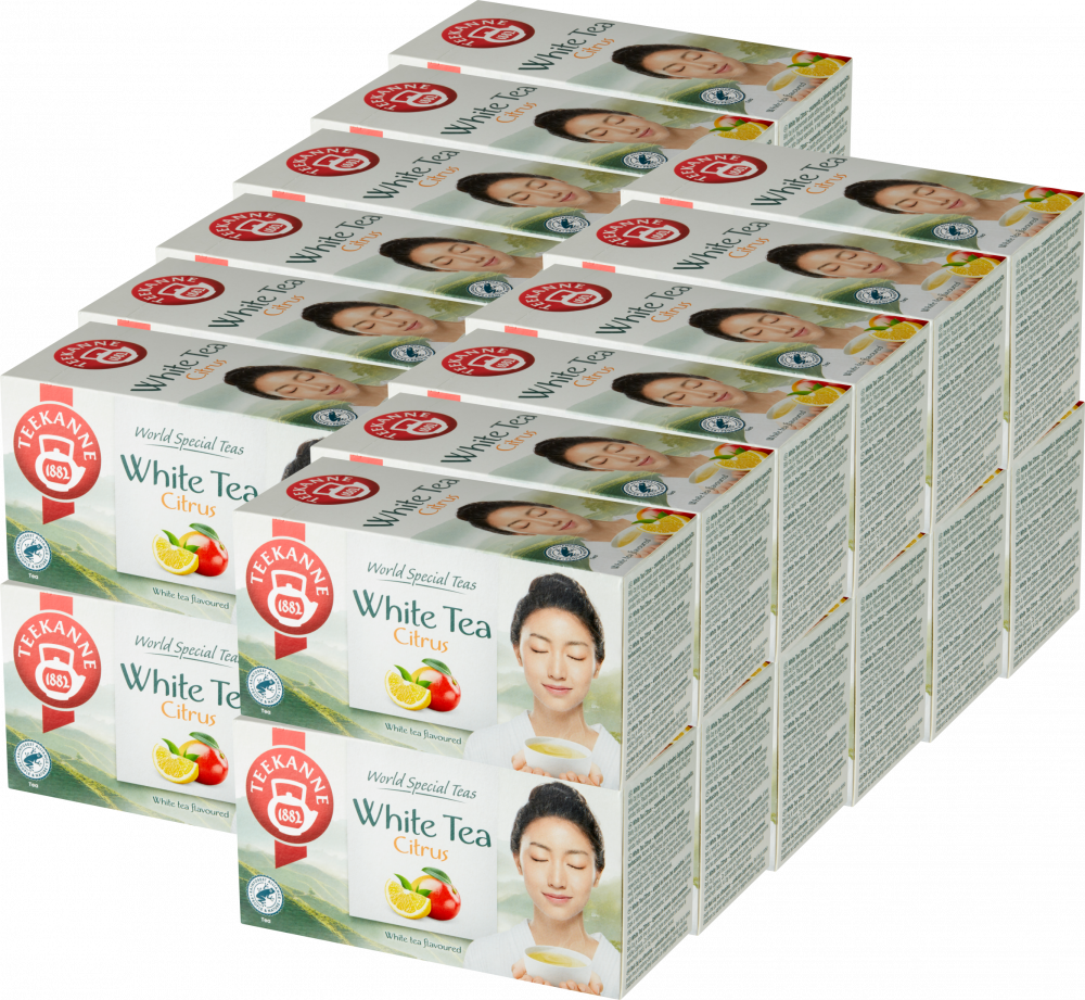 24x Herbata biała smakowa w kopertach Teekanne White Tea Citrus, cytryna i mango, 20 sztuk x 1.25g