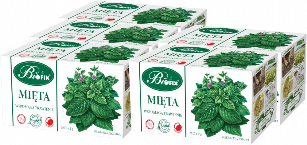 5x Herbata ziołowa w torebkach Bifix, mięta, 20 sztuk x 2g