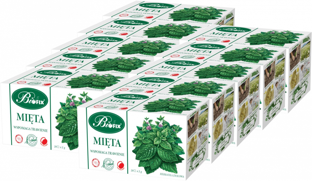 10x Herbata ziołowa w torebkach Bifix, mięta, 20 sztuk x 2g