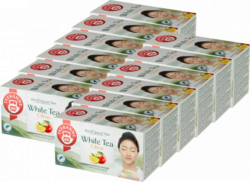 12x Herbata biała smakowa w kopertach Teekanne White Tea Citrus, cytryna i mango, 20 sztuk x 1.25g