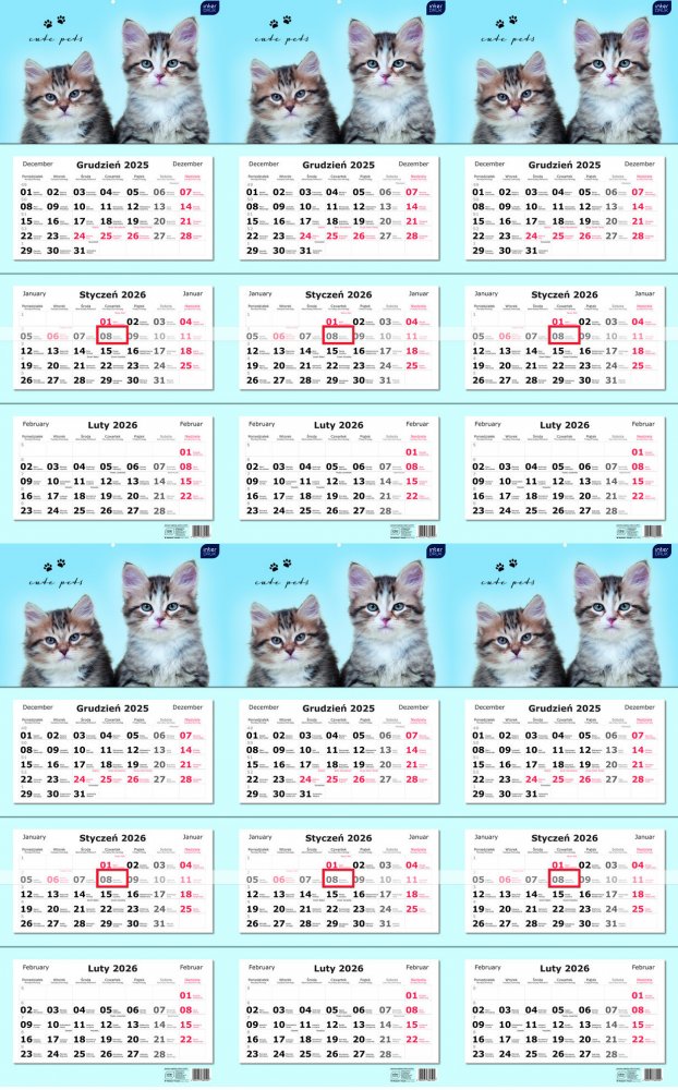 6x Kalendarz ścienny 2026, Interdruk, trójdzielny, 34x82.5cm, Koty