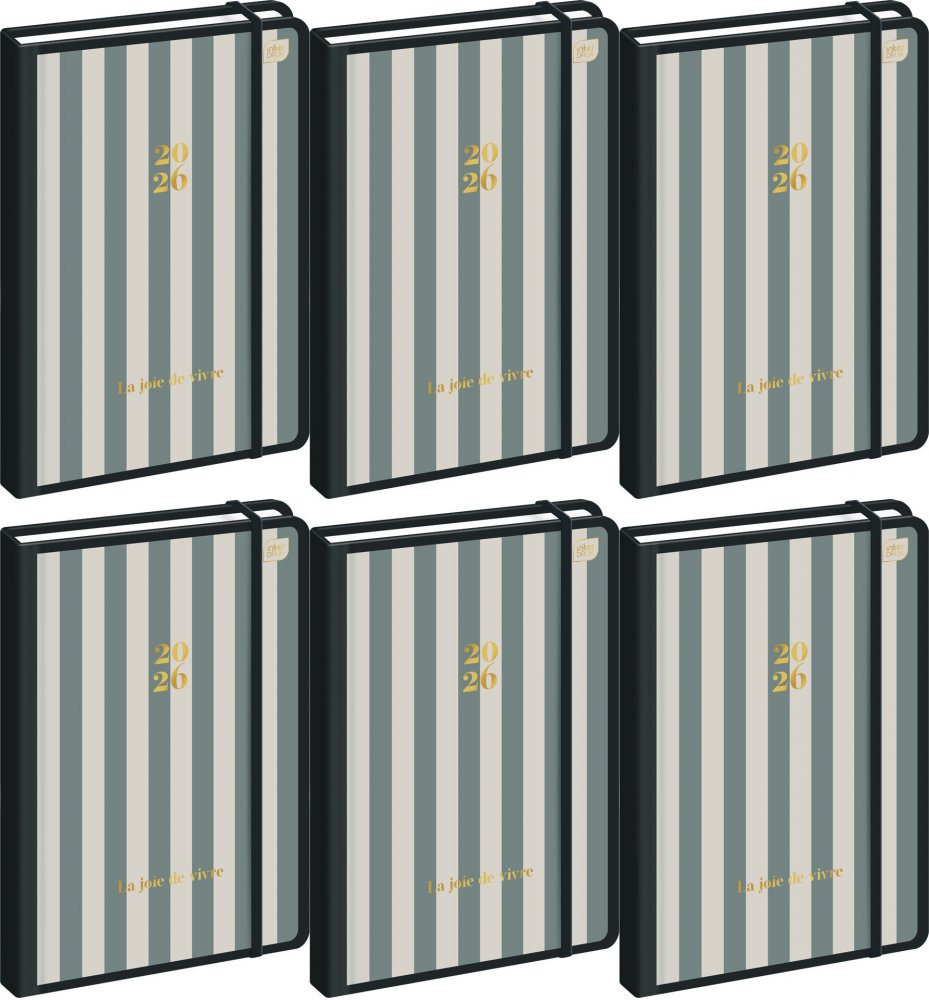 6x Kalendarz książkowy 2026, Interdruk, Metallic Stripes, B5, tygodniowy, mix wzorów