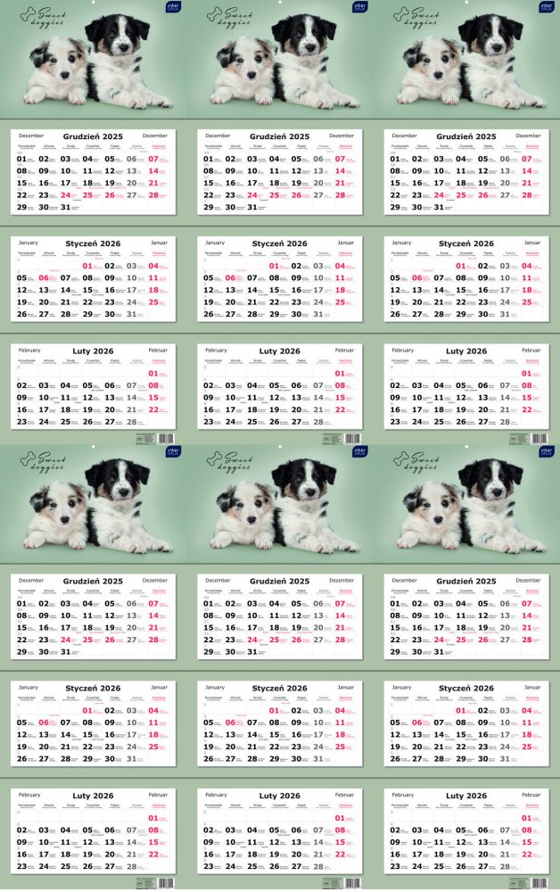 6x Kalendarz ścienny 2026, Interdruk, trójdzielny, 34x82.5cm, Psy