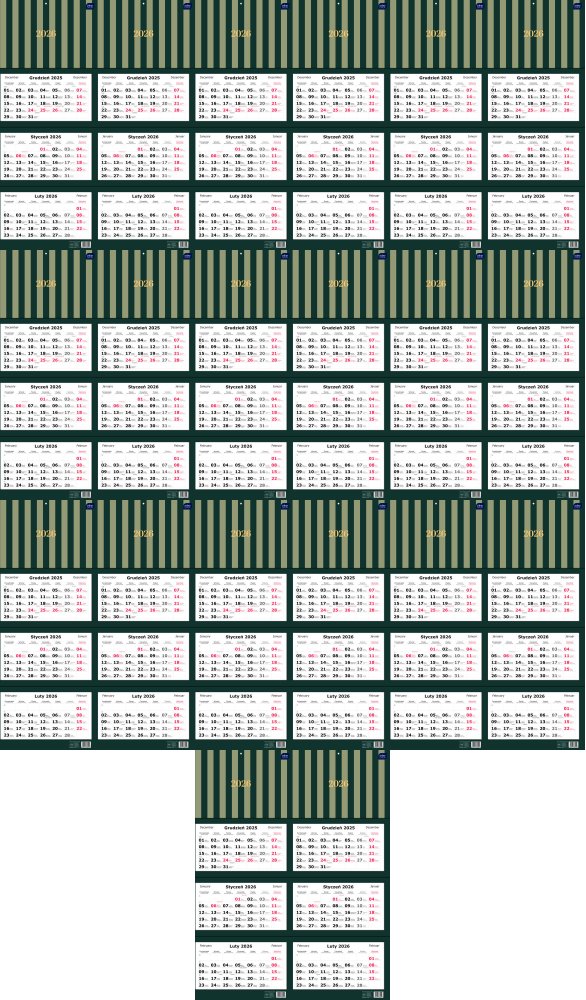 20x Kalendarz ścienny 2026, Interdruk, trójdzielny, 34x82.5cm, Paski