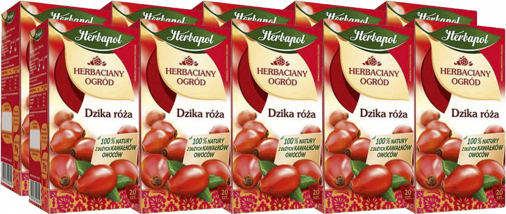 10x Herbata owocowa w torebkach Herbapol Herbaciany Ogród, dzika róża, 20 sztuk x 3.5g