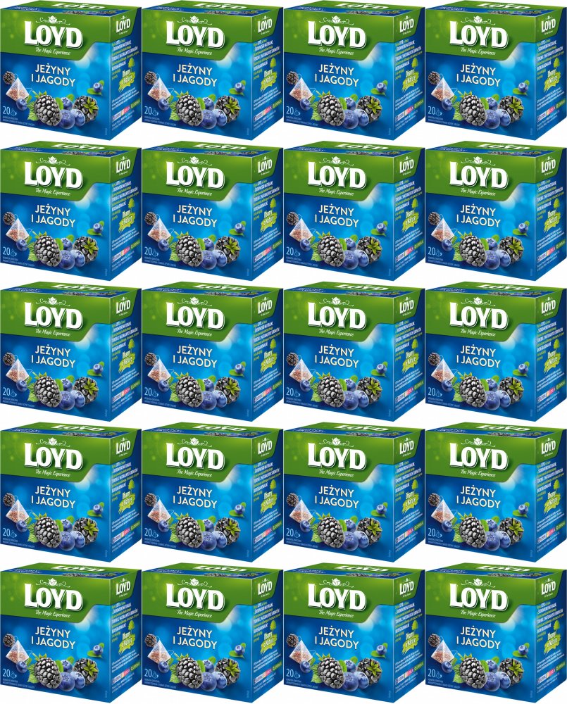 20x Herbata owocowa w piramidkach Loyd Jeżyny i Jagody, 20 sztuk x 2g