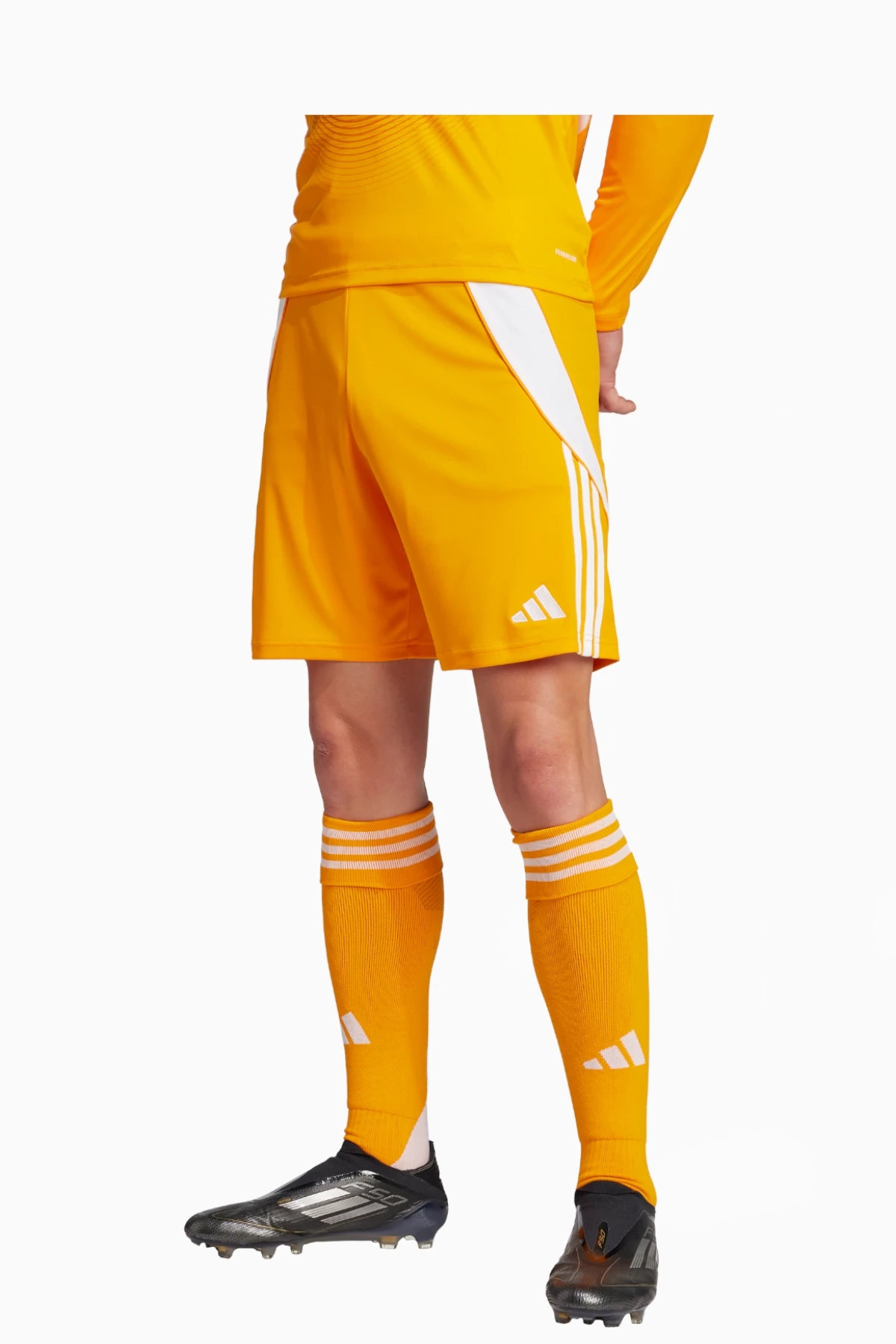 Spodenki adidas Tiro 24 Training - Pomarańczowy