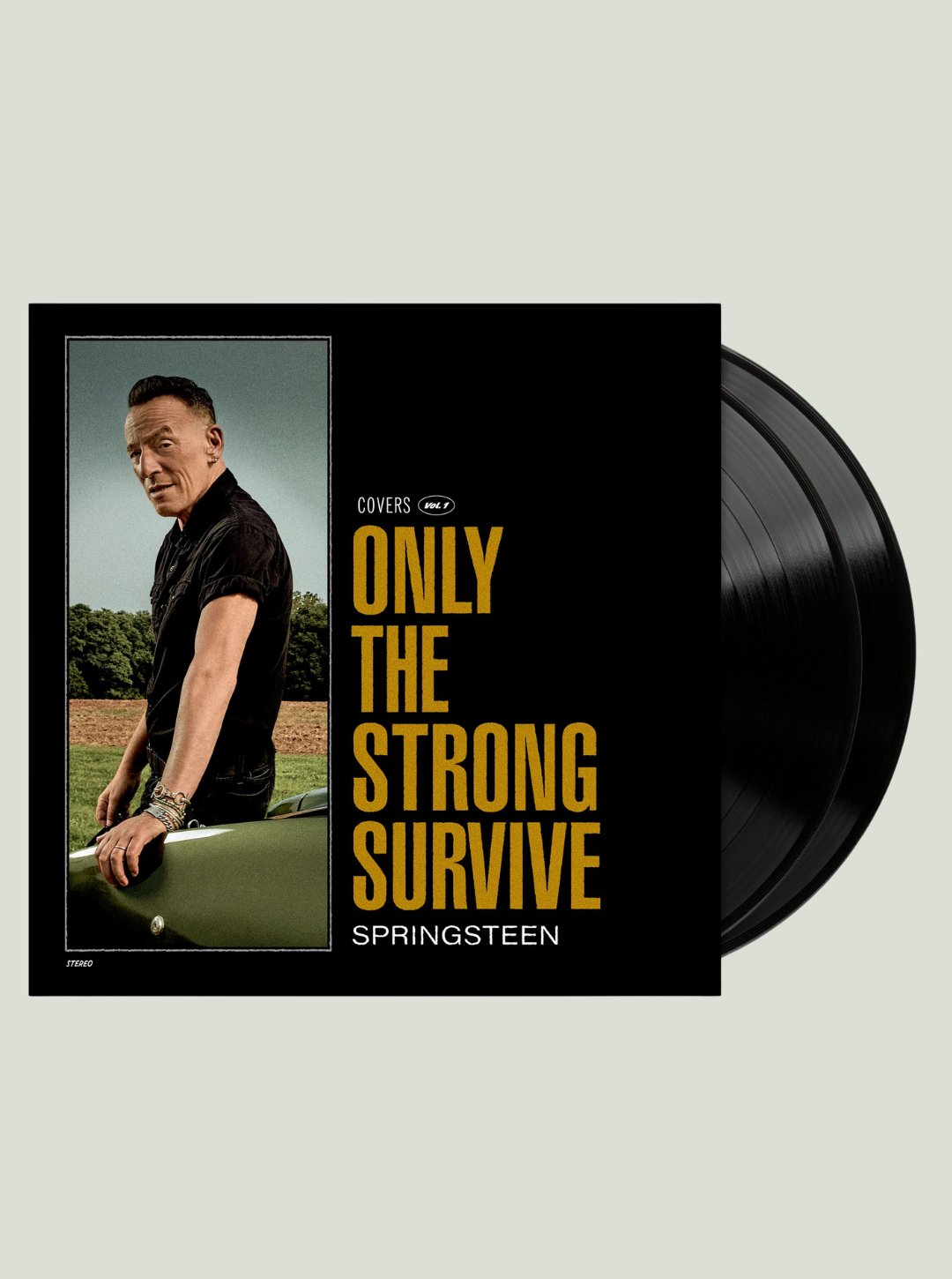 Płyta winylowa Bruce Springsteen - Only The Strong Survive (Black Vinyl)