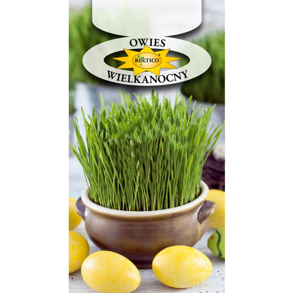 Nasiona Owies Wielkanocny 20g