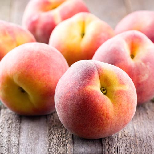 1 saz, Broskvoň Platybest - : Monžstvo balíkov: 1 saz