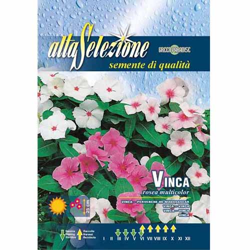 1 szt, Kis meténg Madagaszkári, mix - Magok: Mod de ambalare: 1 db